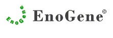 EnoGene Biotech Co. Ltd